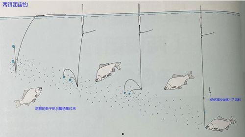 日本钓鱼法,规则解读与钓鱼爱好者必知要点