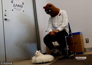 日本手淫高手,独特技巧与养生之道