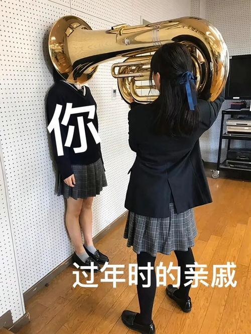 大牛爆料主理人视频,视频背后的精彩故事