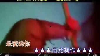 男士慢摇舞步教学视频,轻松入门，舞动魅力风采