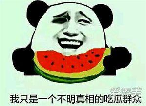 娱乐吃瓜群众在线播放